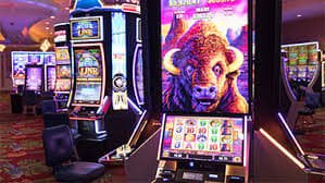 Studio live-dealer Dream Gaming dengan dealer profesional dan peralatan gaming standar industri